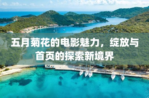 五月菊花的电影魅力，绽放与首页的探索新境界