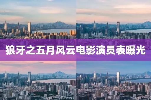 狼牙之五月风云电影演员表曝光