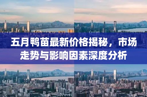2025年6月16日 第5页