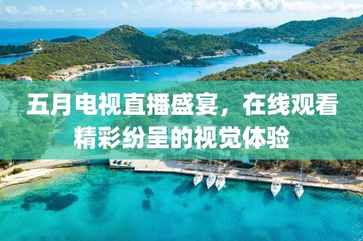 五月电视直播盛宴，在线观看精彩纷呈的视觉体验