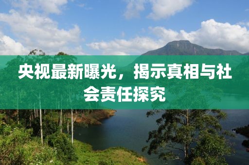 央视最新曝光，揭示真相与社会责任探究