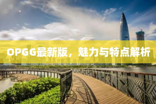 OPGG最新版，魅力与特点解析