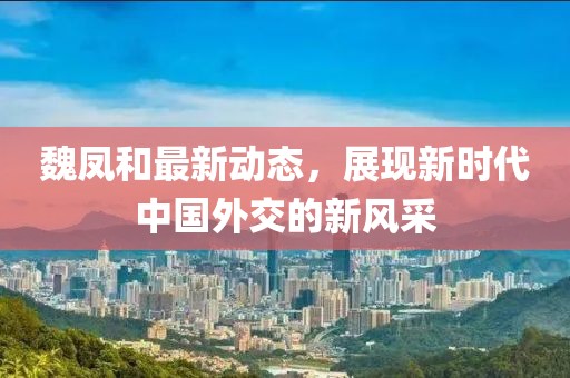 魏凤和最新动态，展现新时代中国外交的新风采