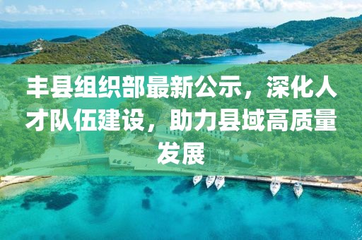 丰县组织部最新公示，深化人才队伍建设，助力县域高质量发展