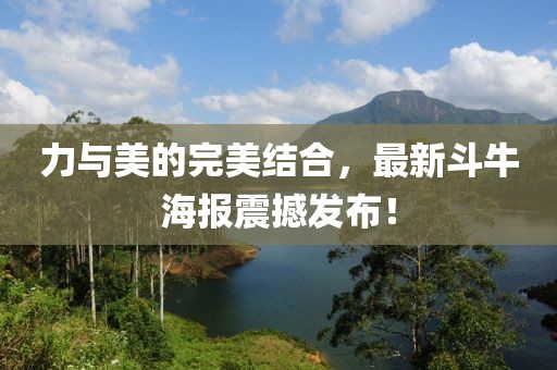 力与美的完美结合，最新斗牛海报震撼发布！