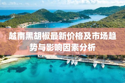越南黑胡椒最新价格及市场趋势与影响因素分析