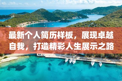 最新个人简历样板，展现卓越自我，打造精彩人生展示之路
