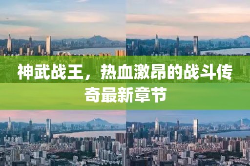 神武战王，热血激昂的战斗传奇最新章节