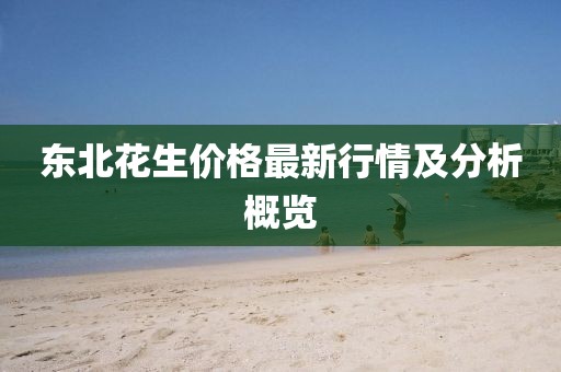 东北花生价格最新行情及分析概览
