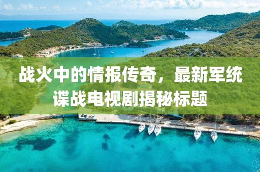 战火中的情报传奇，最新军统谍战电视剧揭秘标题