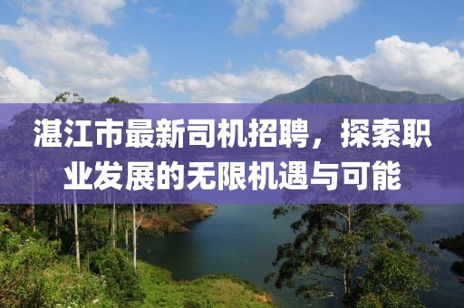 湛江市最新司机招聘，探索职业发展的无限机遇与可能