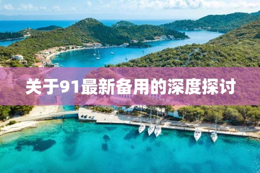 关于91最新备用的深度探讨
