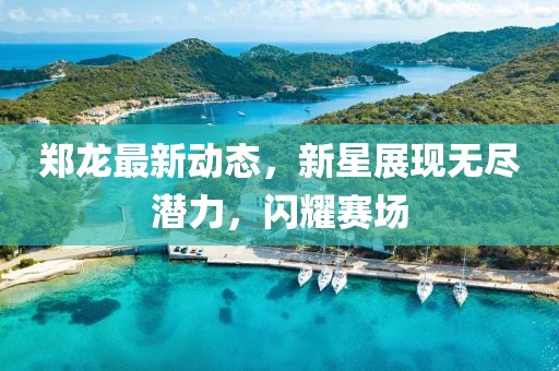 郑龙最新动态，新星展现无尽潜力，闪耀赛场