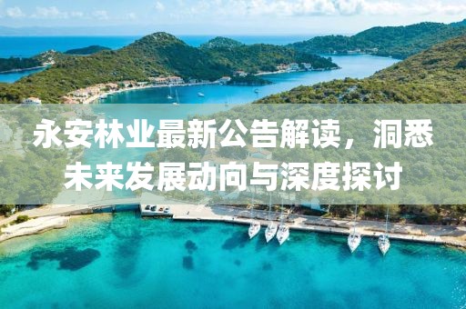 永安林业最新公告解读，洞悉未来发展动向与深度探讨