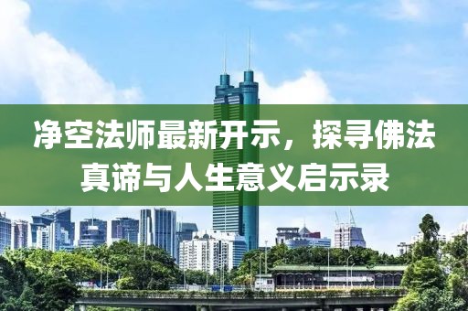 净空法师最新开示，探寻佛法真谛与人生意义启示录