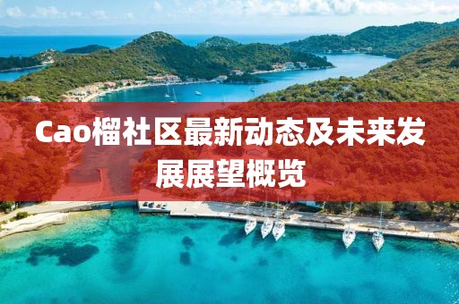 Cao榴社区最新动态及未来发展展望概览