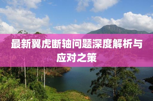 最新翼虎断轴问题深度解析与应对之策
