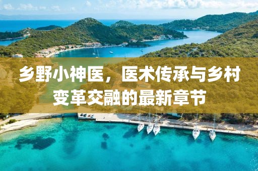 乡野小神医，医术传承与乡村变革交融的最新章节