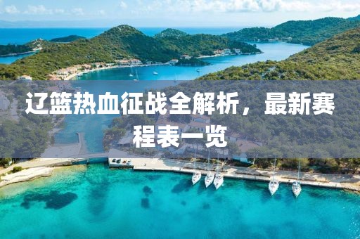 辽篮热血征战全解析，最新赛程表一览