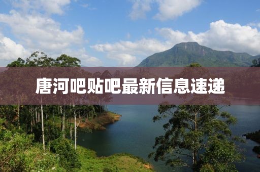 唐河吧贴吧最新信息速递