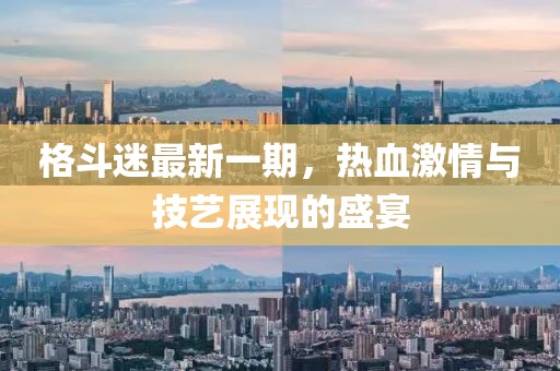 格斗迷最新一期，热血激情与技艺展现的盛宴