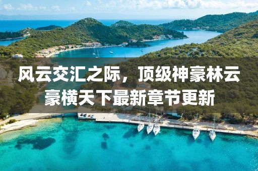 风云交汇之际，顶级神豪林云豪横天下最新章节更新