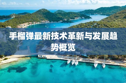 手榴弹最新技术革新与发展趋势概览