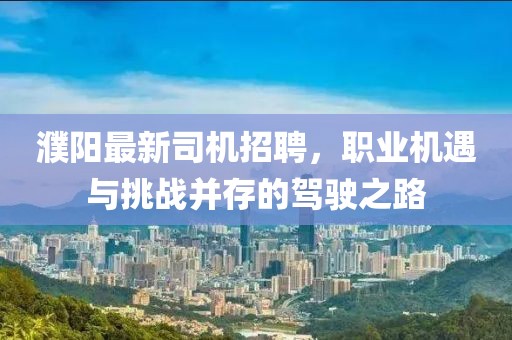 寄意 第26页
