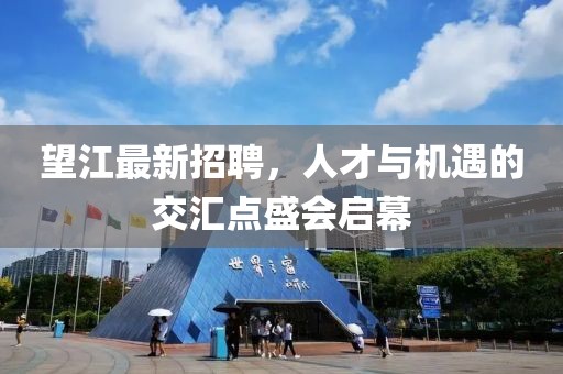 望江最新招聘，人才与机遇的交汇点盛会启幕