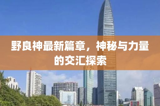 野良神最新篇章，神秘与力量的交汇探索