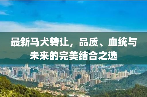 最新马犬转让，品质、血统与未来的完美结合之选