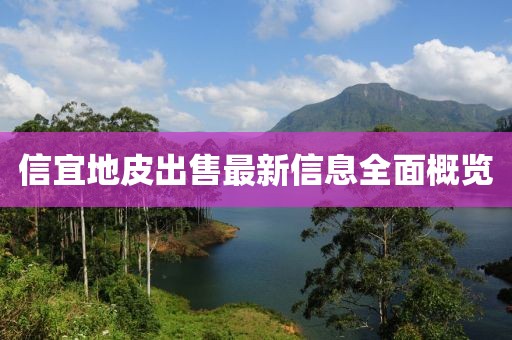 信宜地皮出售最新信息全面概览