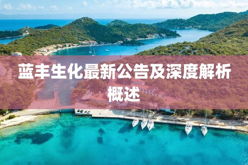 蓝丰生化最新公告及深度解析概述