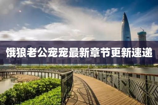 饿狼老公宠宠最新章节更新速递