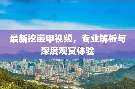 最新挖嵌甲视频，专业解析与深度观赏体验