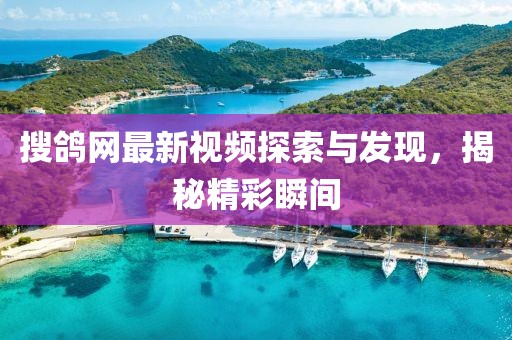 搜鸽网最新视频探索与发现，揭秘精彩瞬间