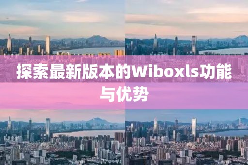 探索最新版本的Wiboxls功能与优势