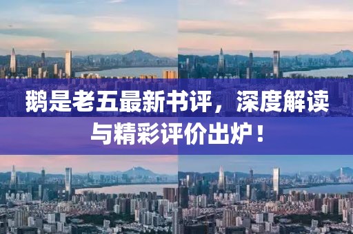 鹅是老五最新书评，深度解读与精彩评价出炉！