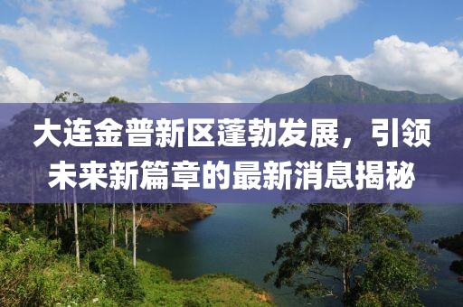 大连金普新区蓬勃发展，引领未来新篇章的最新消息揭秘