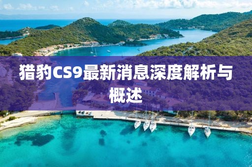 猎豹CS9最新消息深度解析与概述
