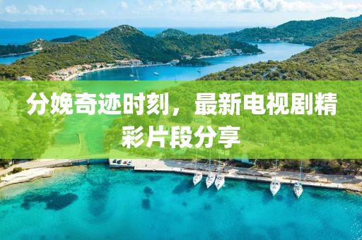 分娩奇迹时刻，最新电视剧精彩片段分享