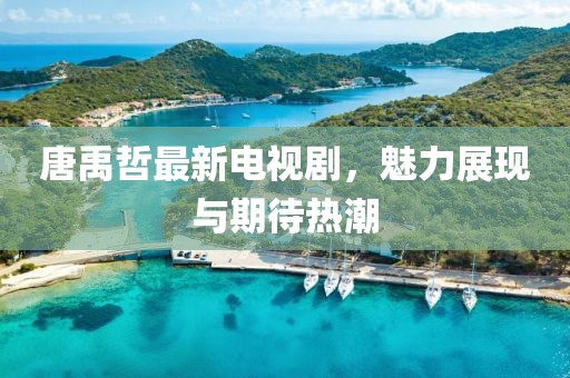 唐禹哲最新电视剧，魅力展现与期待热潮