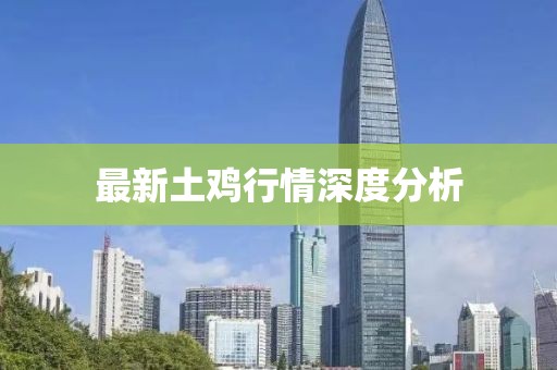 最新土鸡行情深度分析