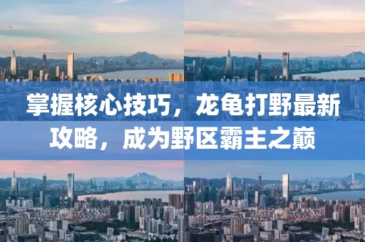 冰月灵狐 第21页