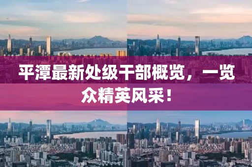 平潭最新处级干部概览，一览众精英风采！