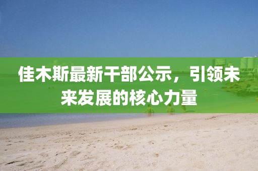 佳木斯最新干部公示，引领未来发展的核心力量