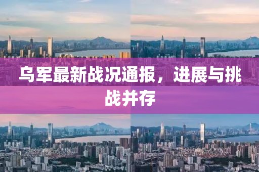 乌军最新战况通报，进展与挑战并存