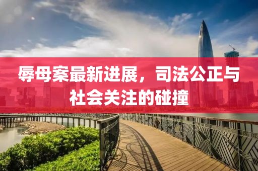 辱母案最新进展，司法公正与社会关注的碰撞