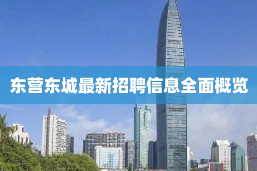 东营东城最新招聘信息全面概览