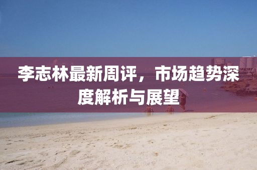李志林最新周评，市场趋势深度解析与展望
